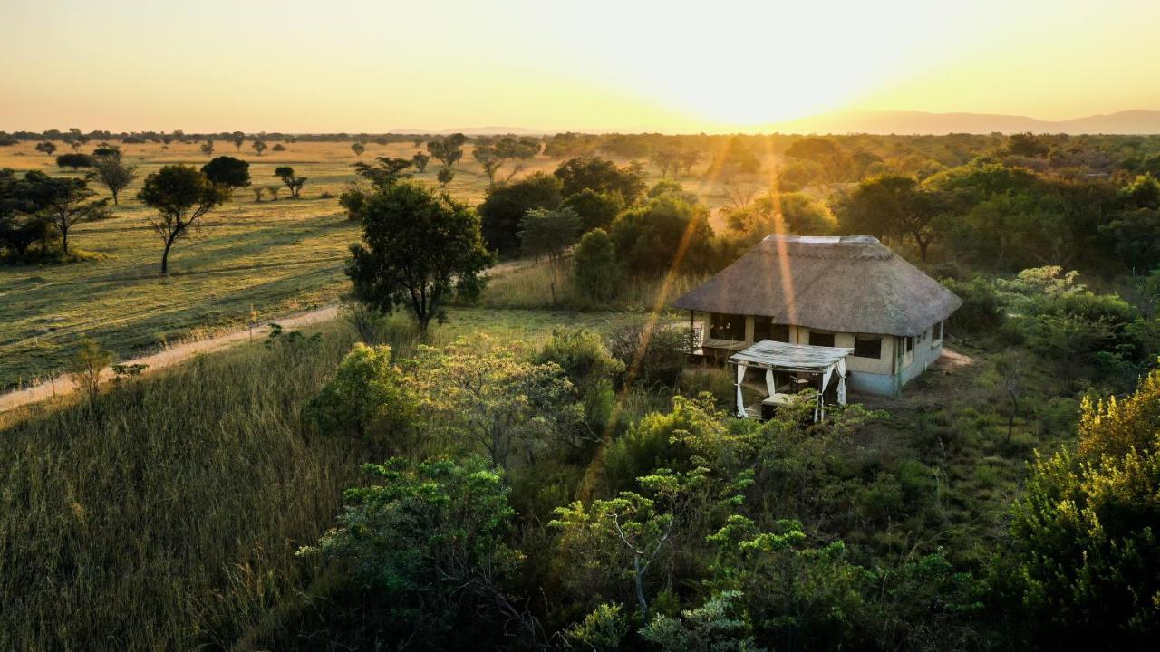 Lodge Safari Plains *
