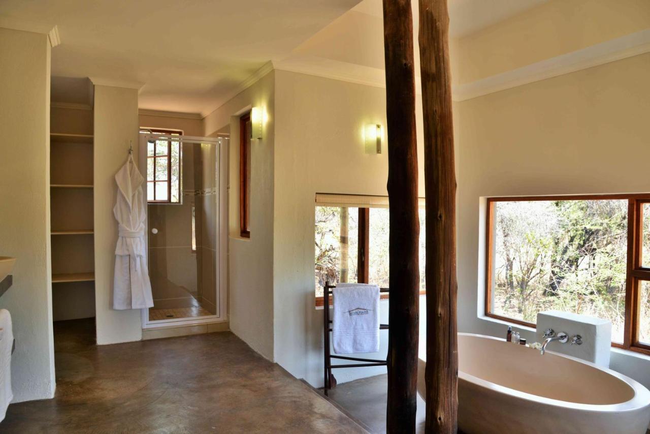 Lodge Safari Plains Mabula Game Reserve