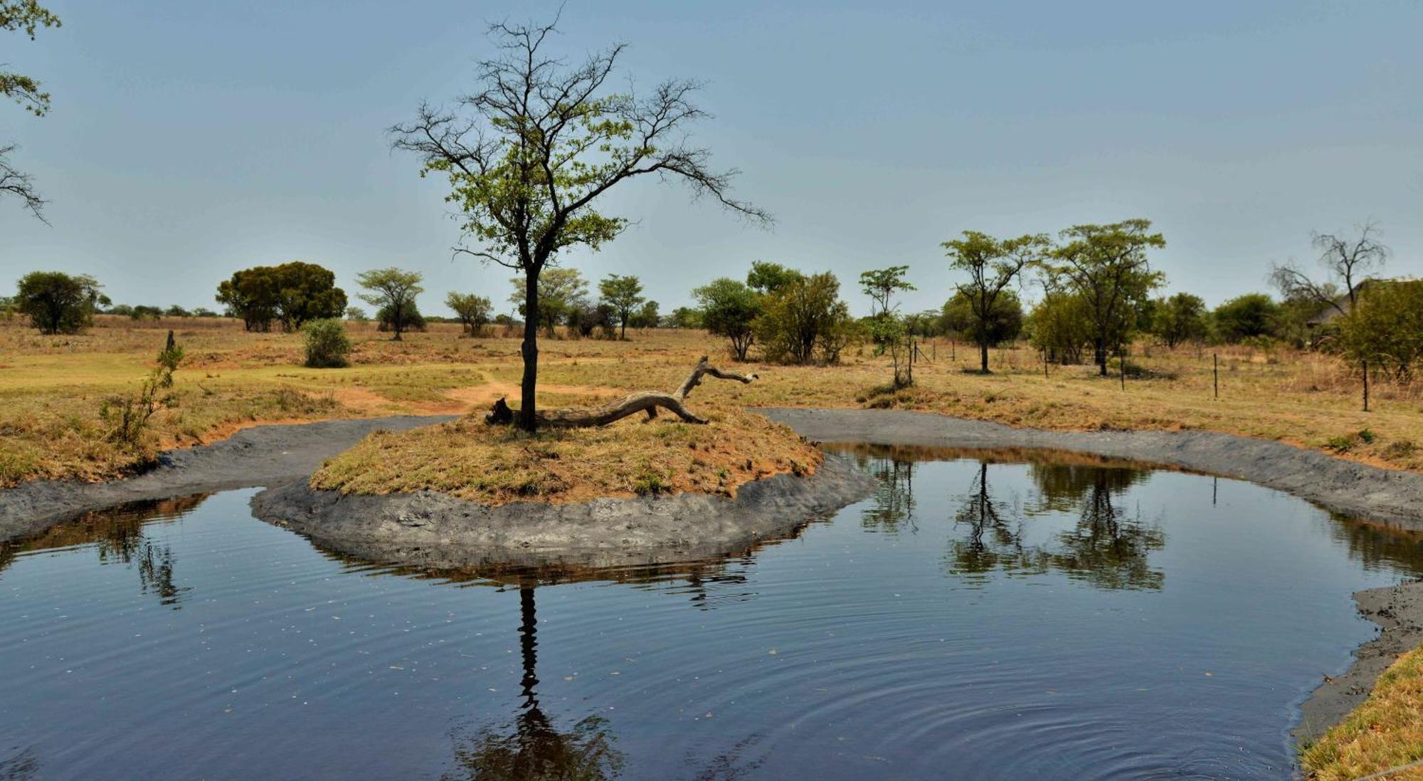Safari Plains Lodge *