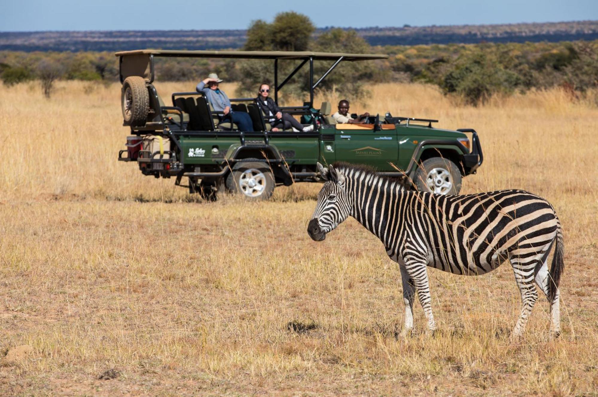 Safari Plains Lodge