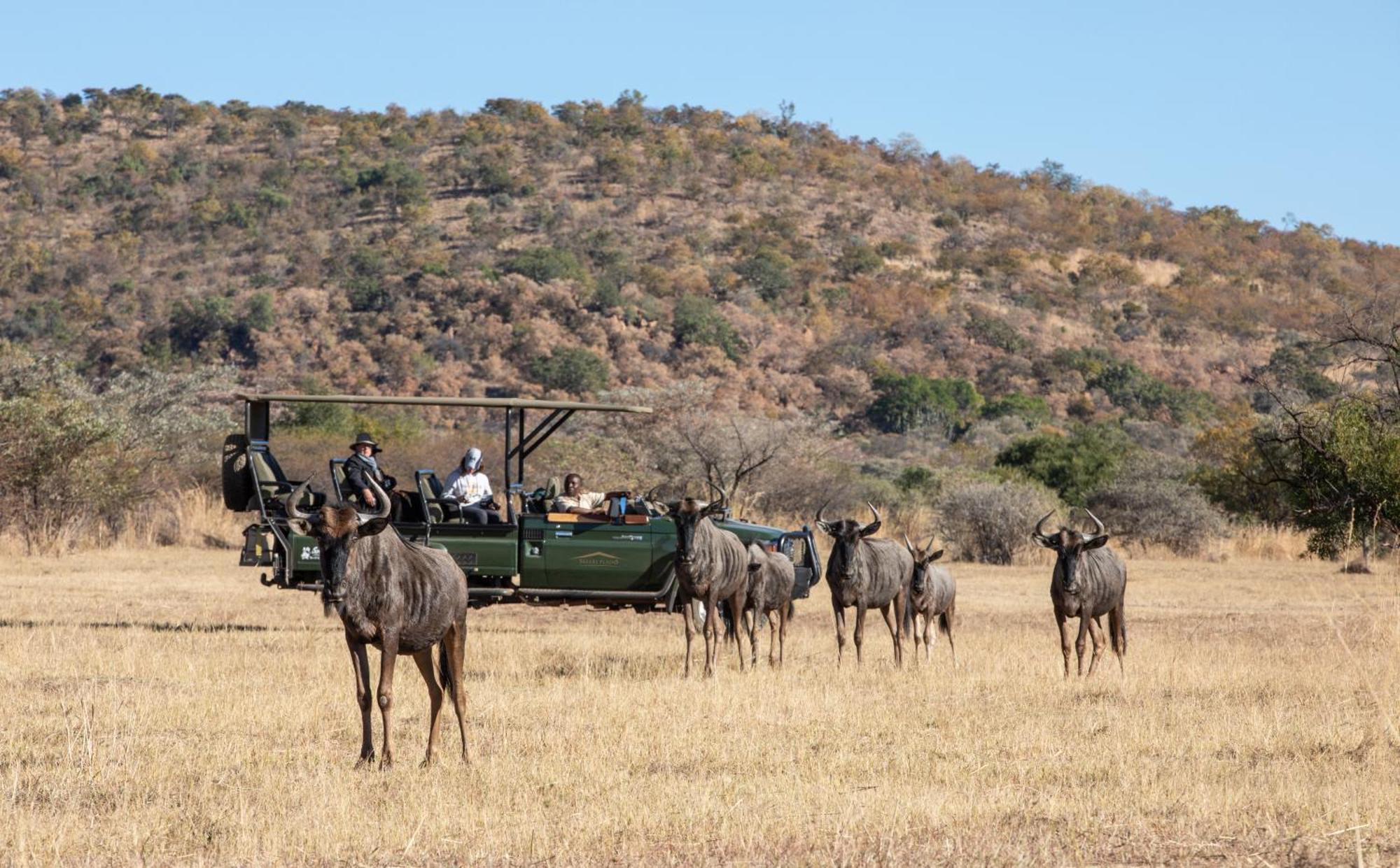 Safari Plains Lodge *